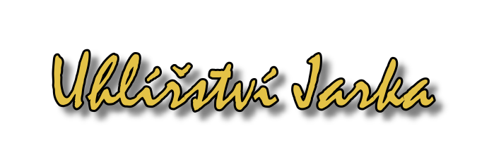 Primary Raster logo